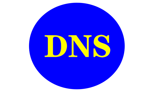 DNS服務器是怎么設置的？托管服務器