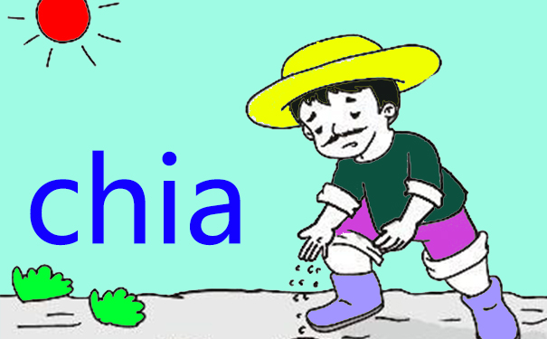 Chia幣挖掘服務器配置