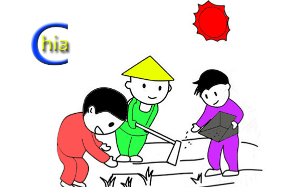 了解挖礦服務器的Chia錢包