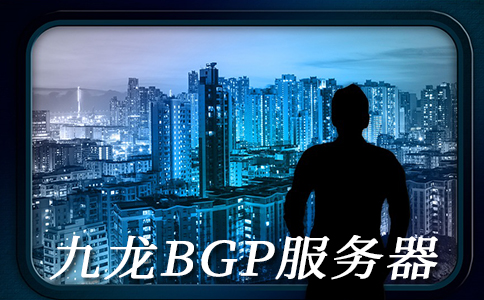 BGP高防御的原理和九龍BGP機房的優(yōu)點
